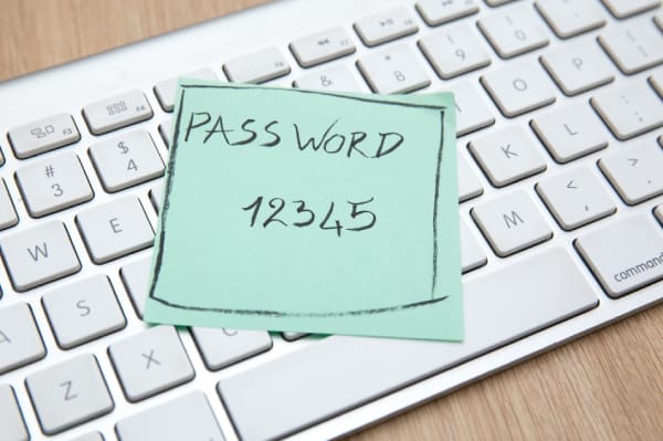 Adelia Risk’s Mega Awesome Password Guide for 2023