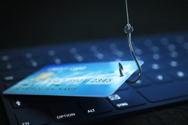 Adelia Risk's Guide to Phishing
